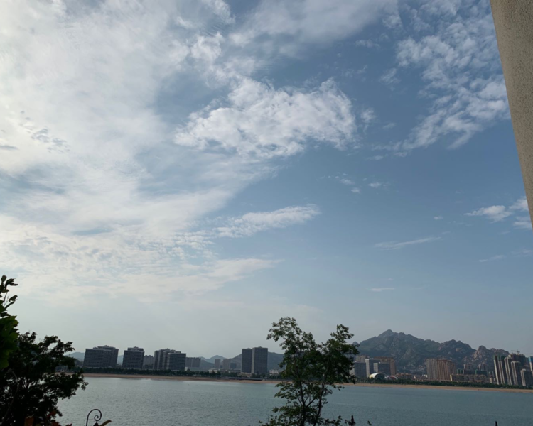 艺人背景图