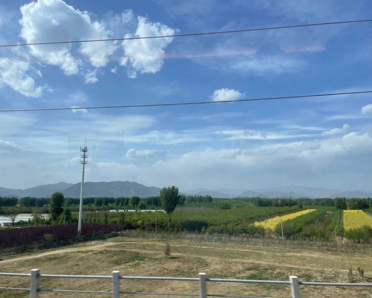 艺人背景图