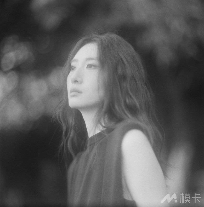 作品图片
