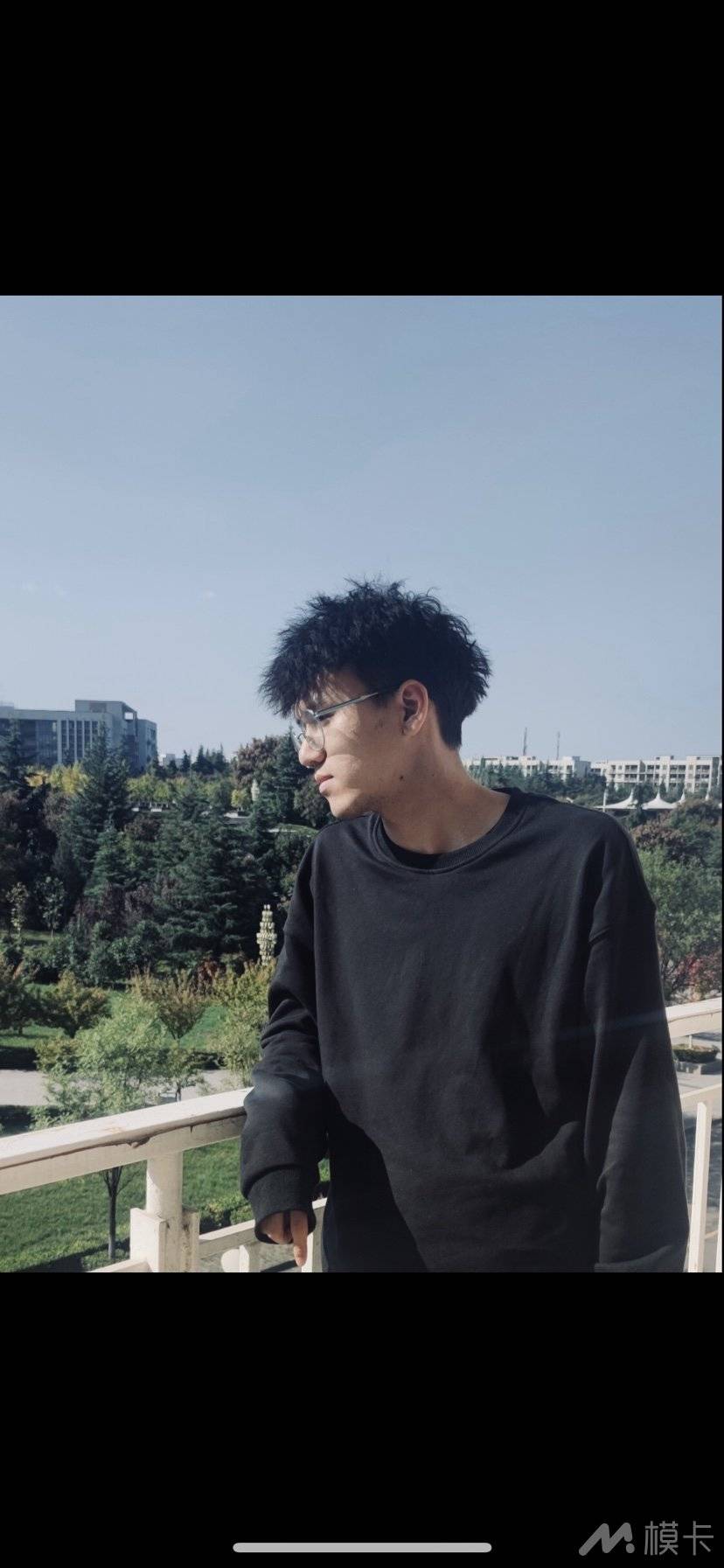 作品图片