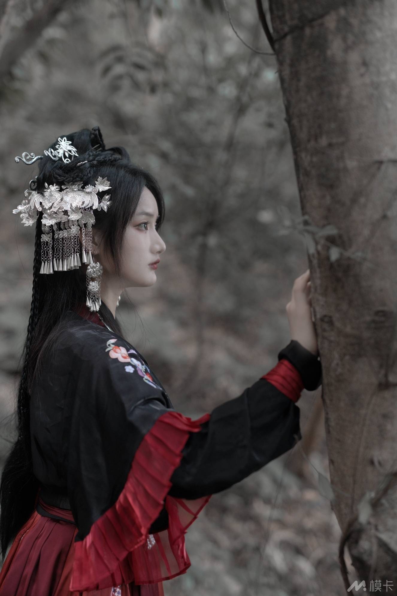 作品图片