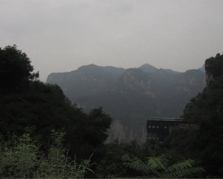 艺人背景图