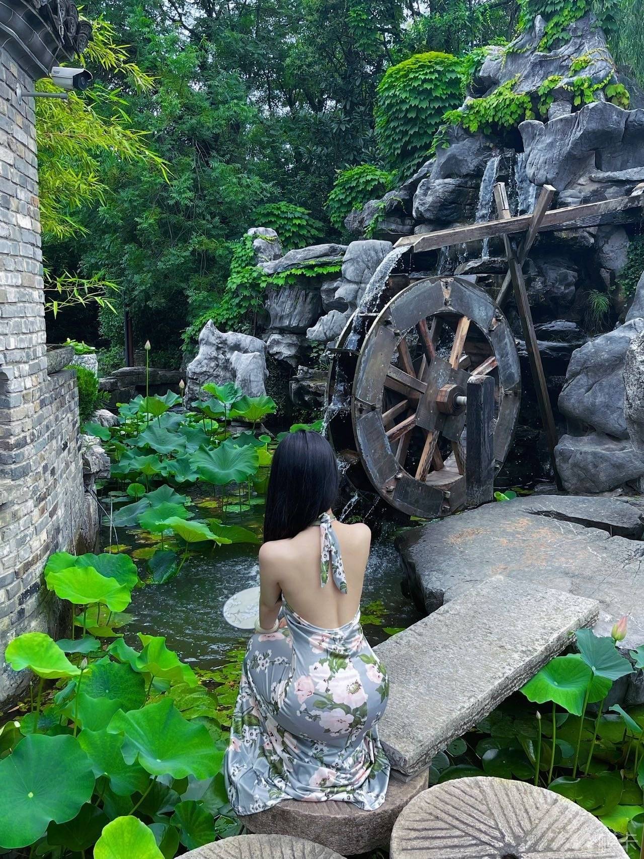 作品图片