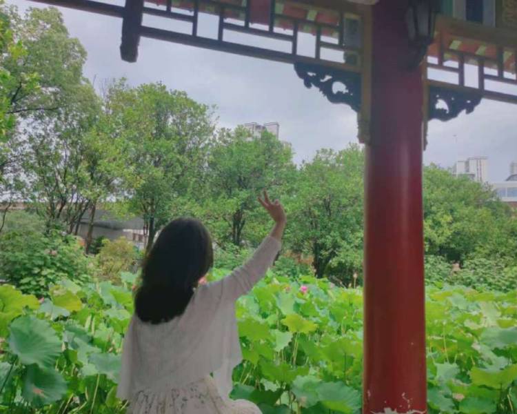 艺人背景图