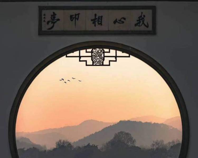 艺人背景图