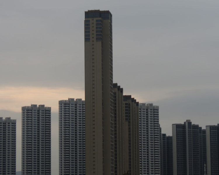 艺人背景图