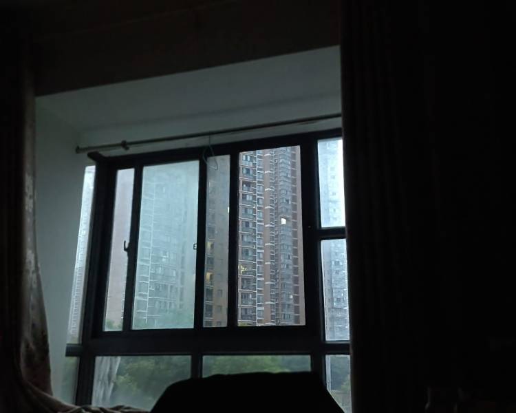 艺人背景图