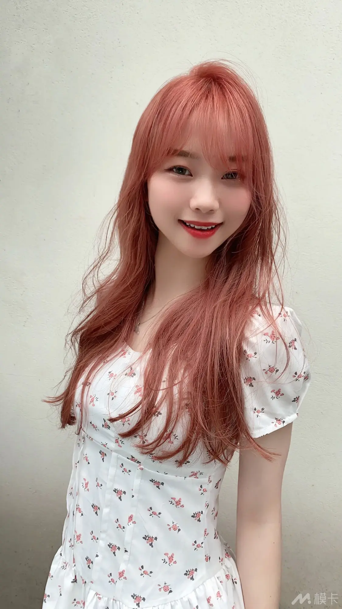 通告图片