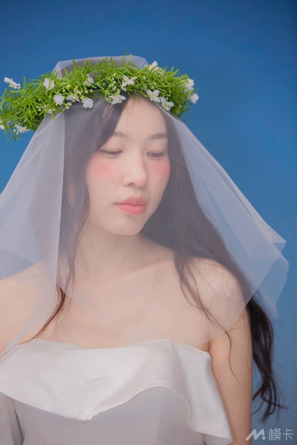 作品图片