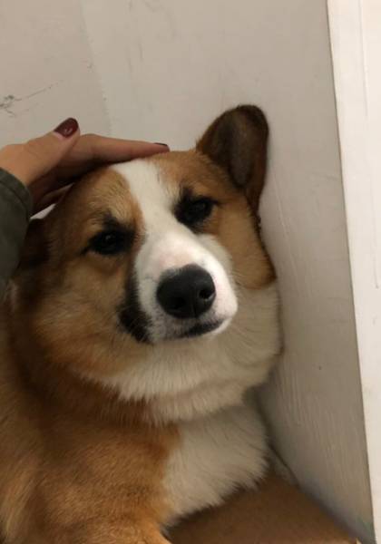 形象照片