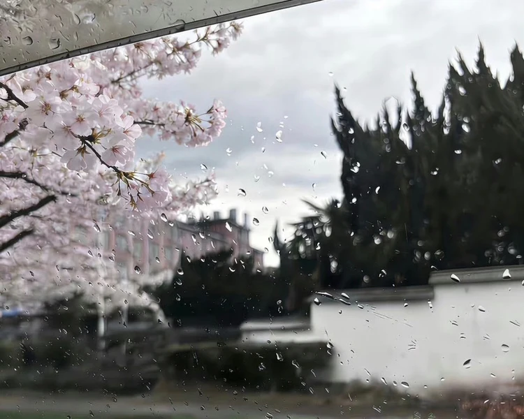 艺人背景图