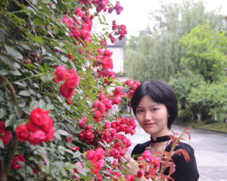 艺人背景图