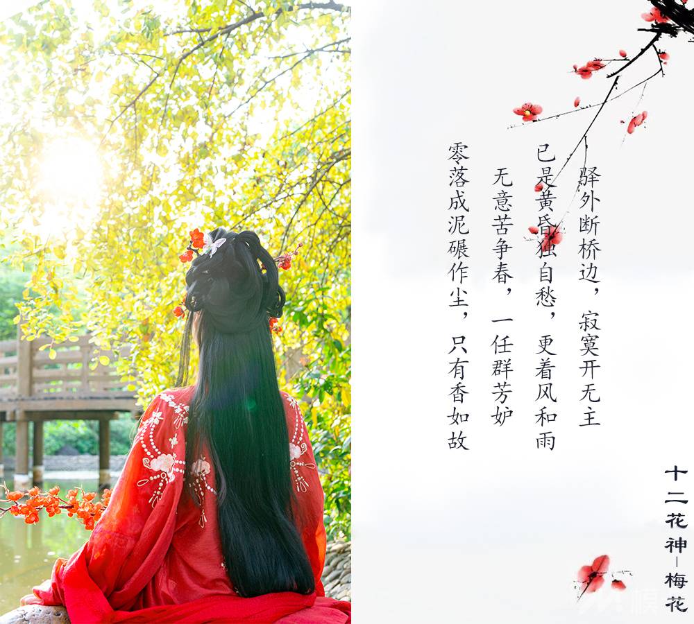 作品图片
