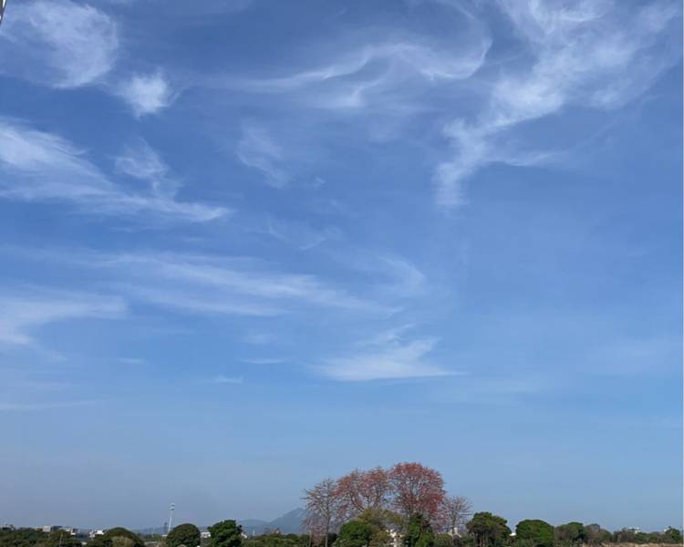 艺人背景图