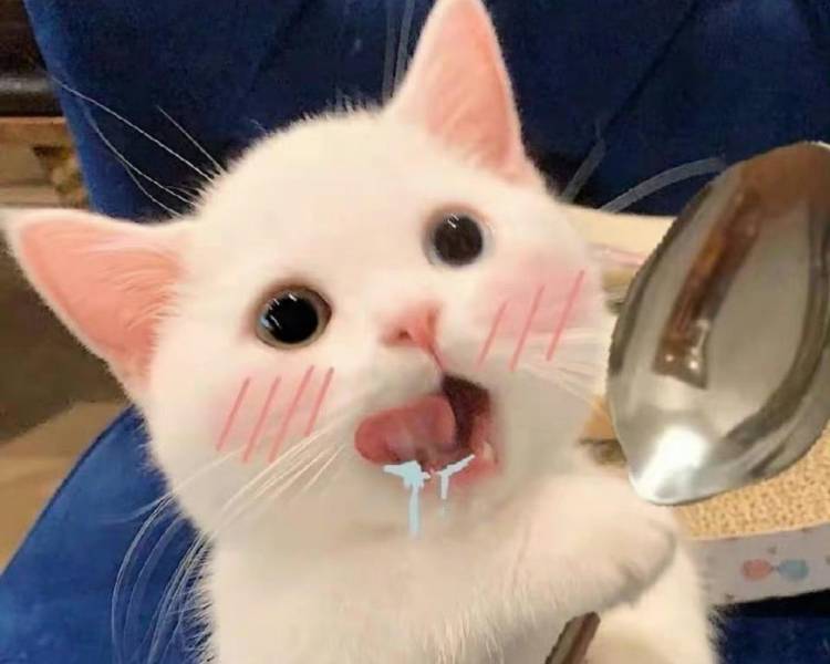 艺人背景图