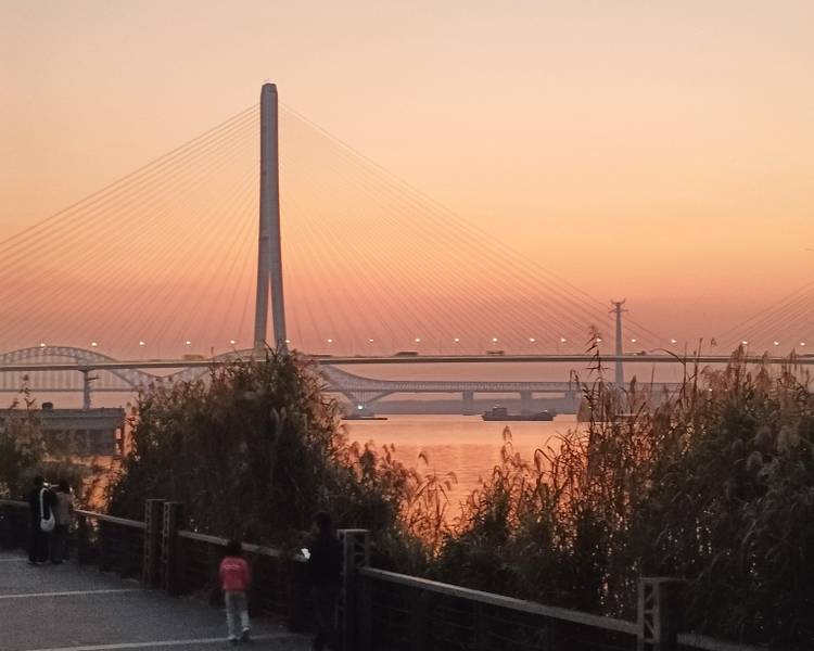 艺人背景图