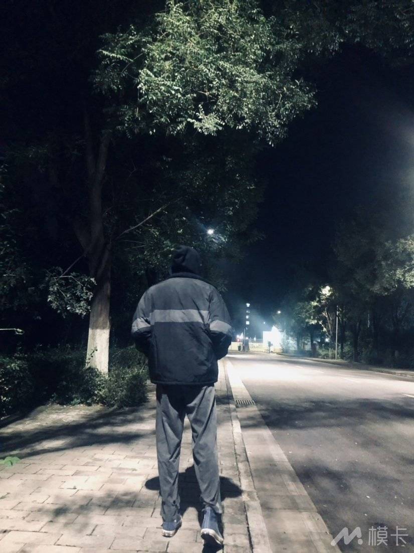 作品图片