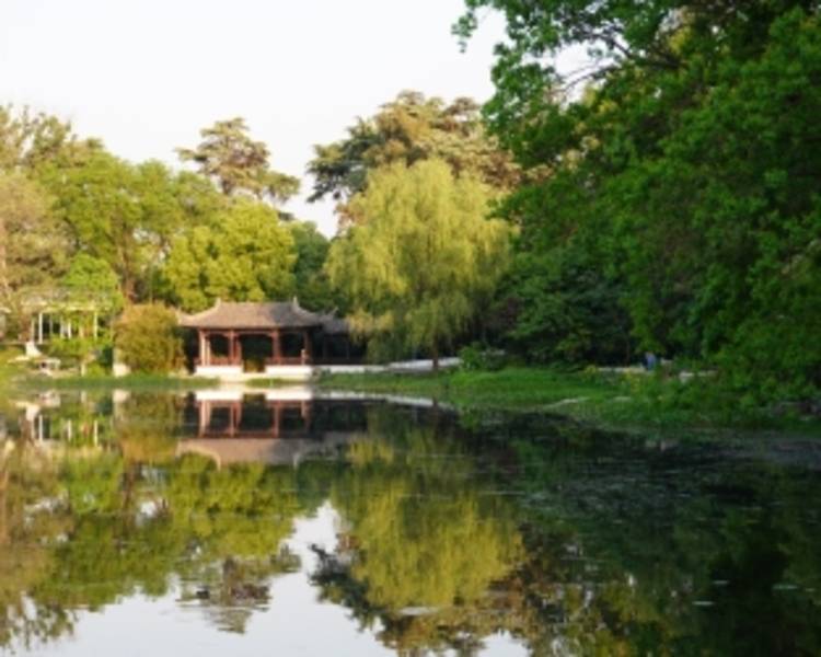 艺人背景图