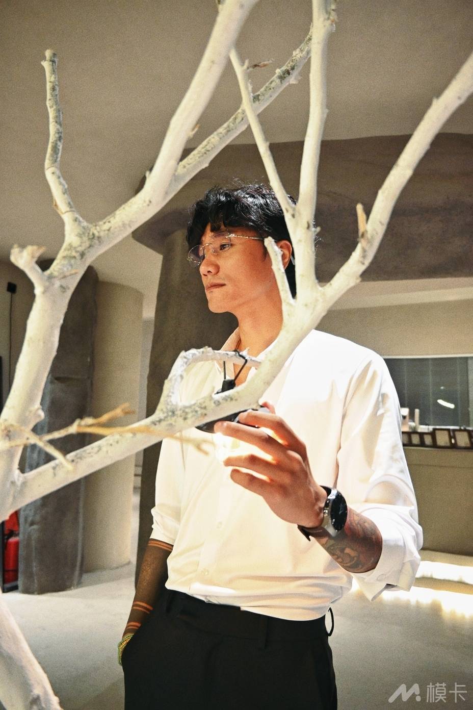 作品图片