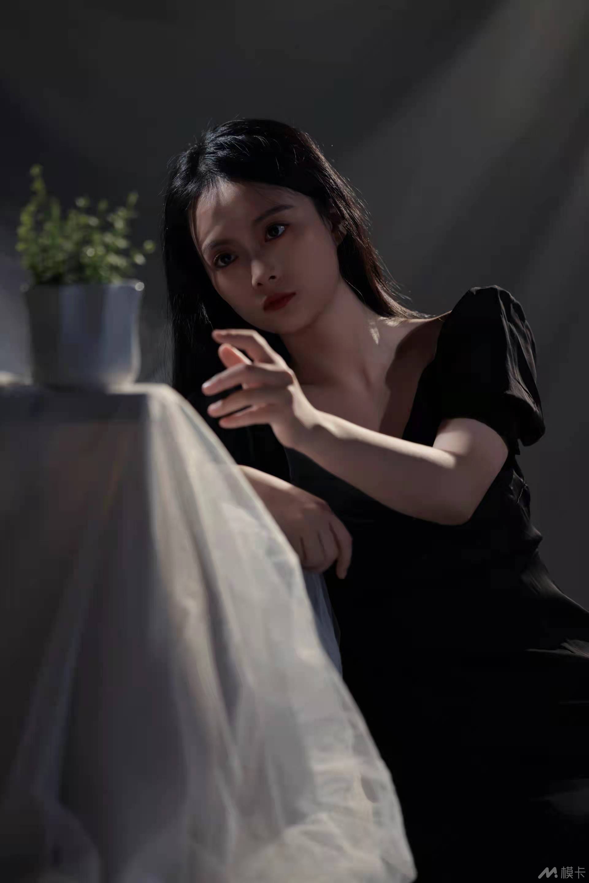 作品图片