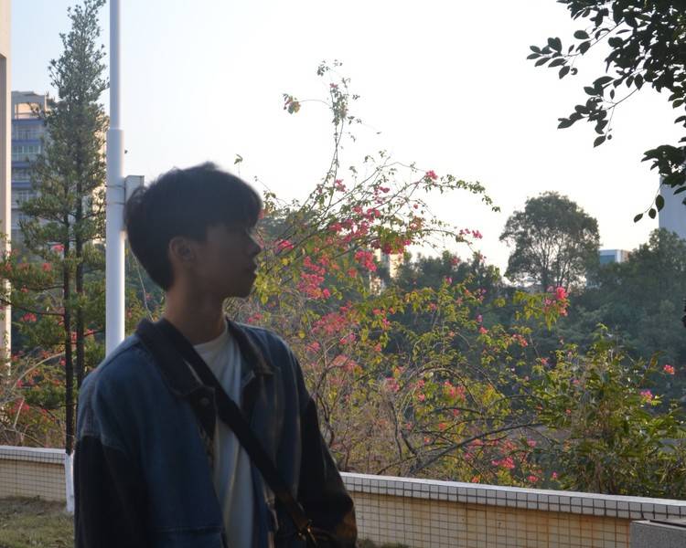 艺人背景图