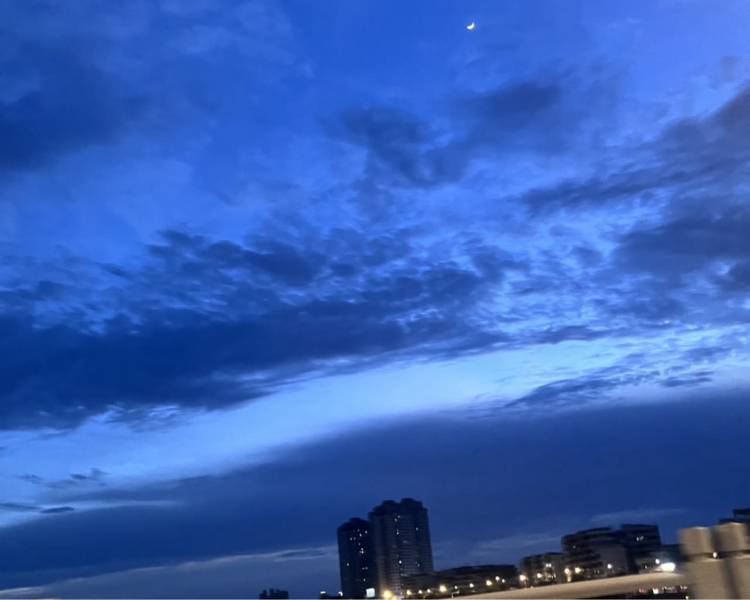 艺人背景图