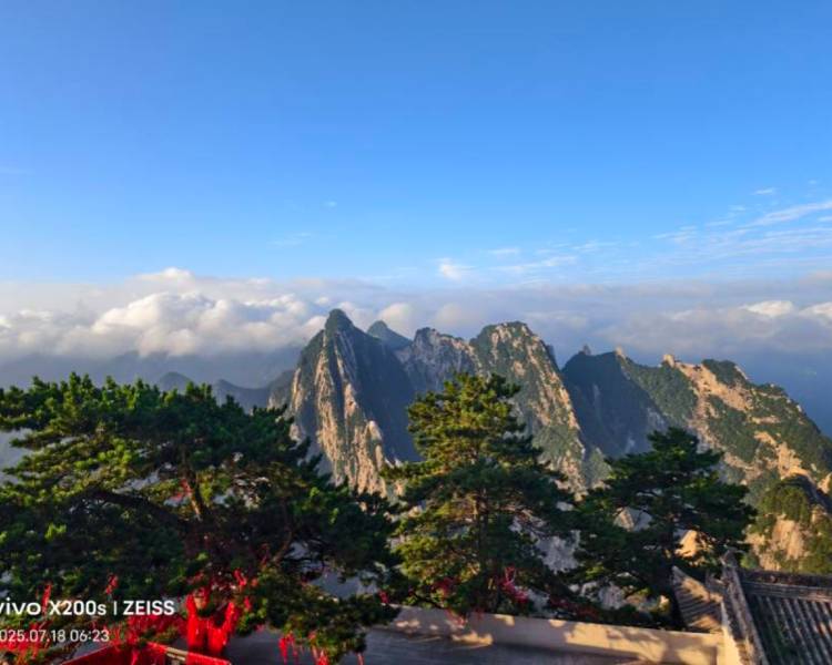 艺人背景图