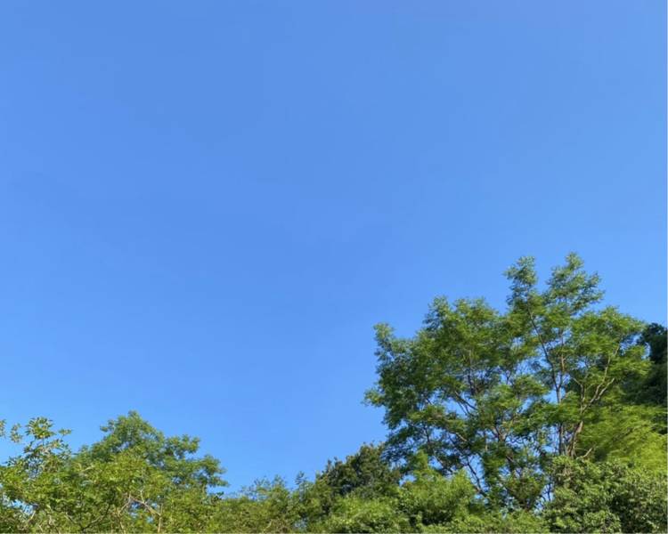 艺人背景图