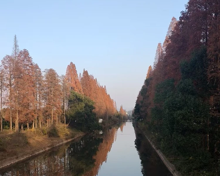 艺人背景图