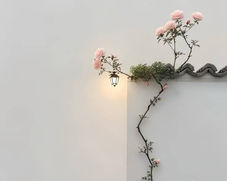 艺人背景图