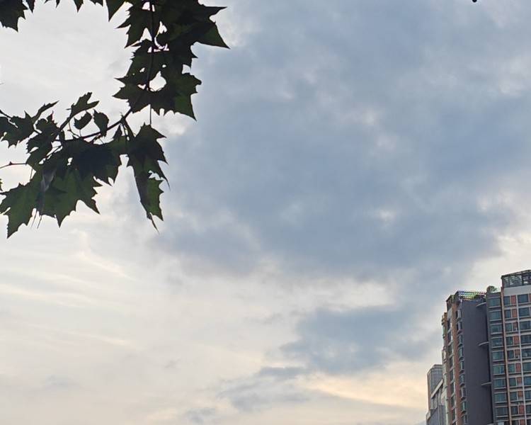 艺人背景图
