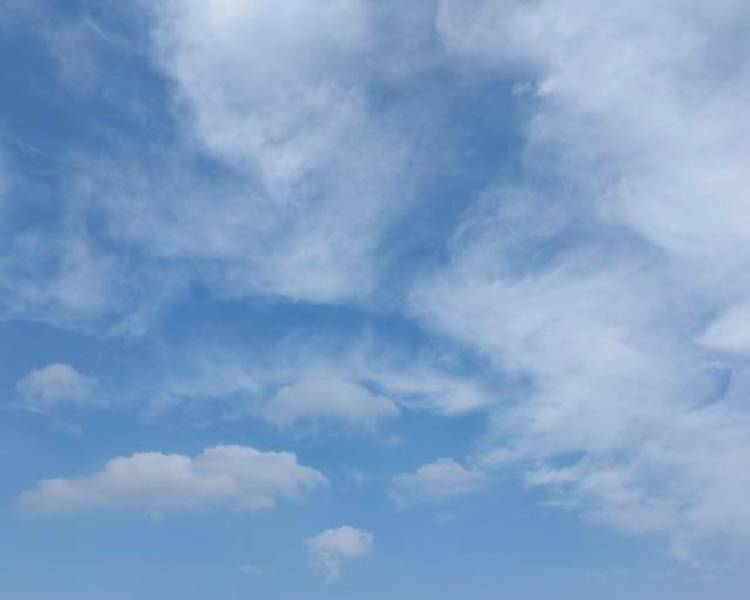 艺人背景图