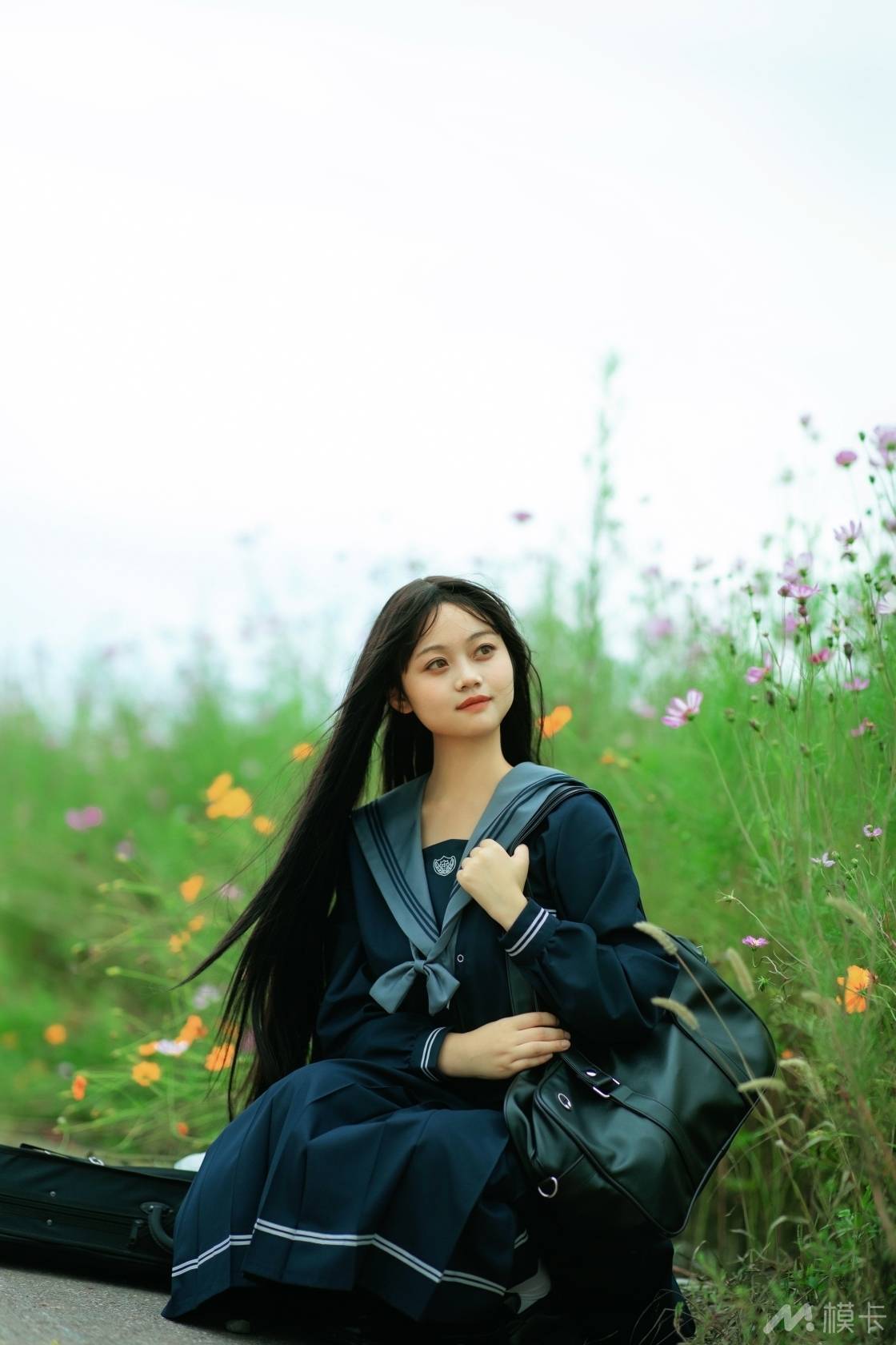 作品图片