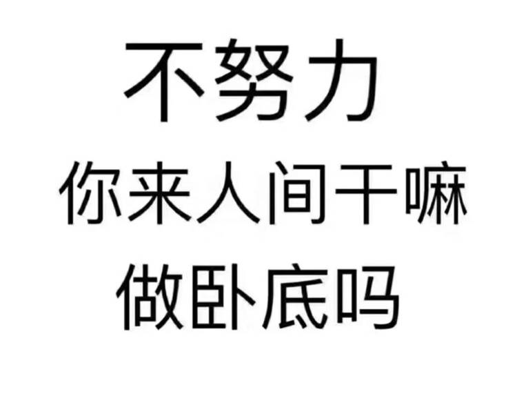 艺人背景图