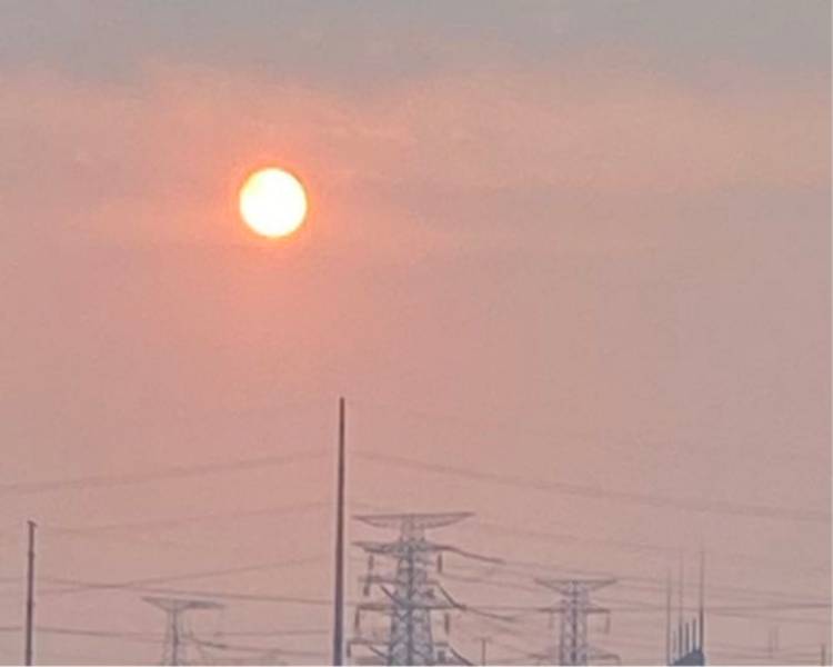 艺人背景图