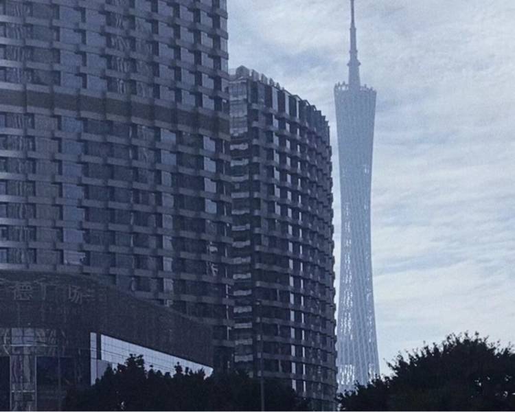 艺人背景图