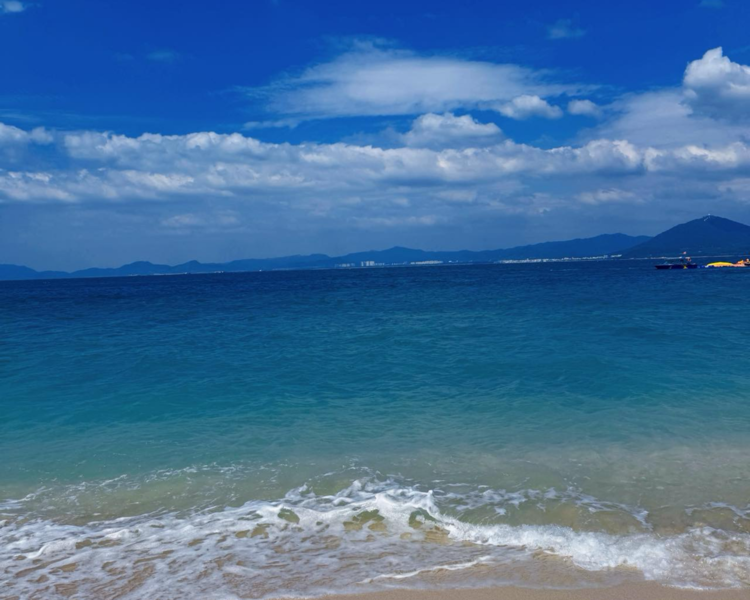 艺人背景图