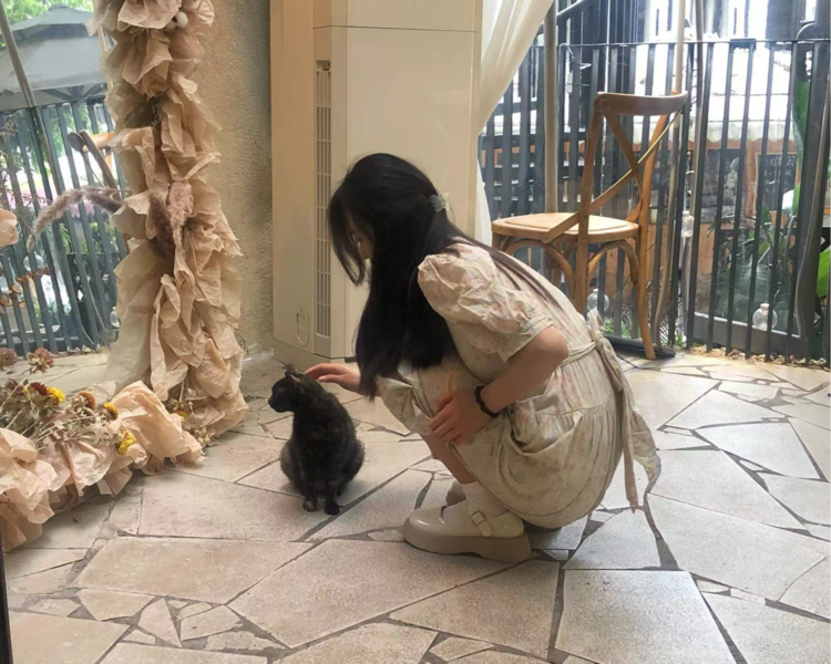 艺人背景图