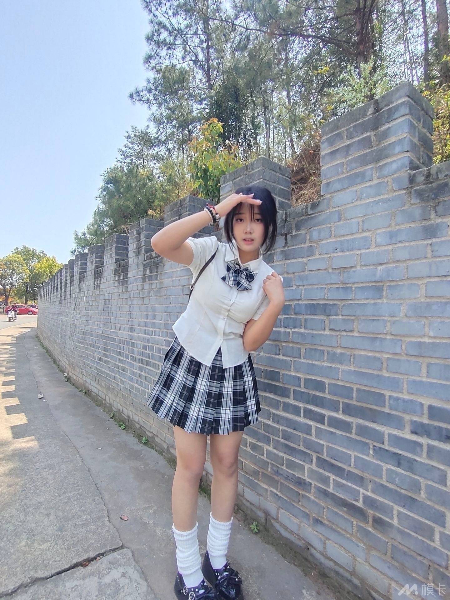 作品图片