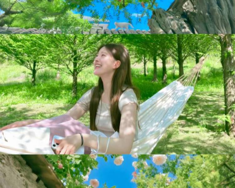 艺人背景图