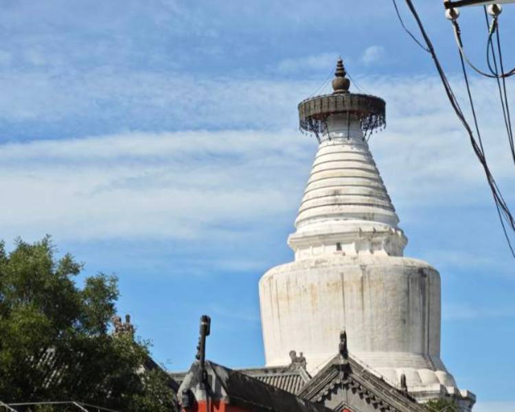 艺人背景图