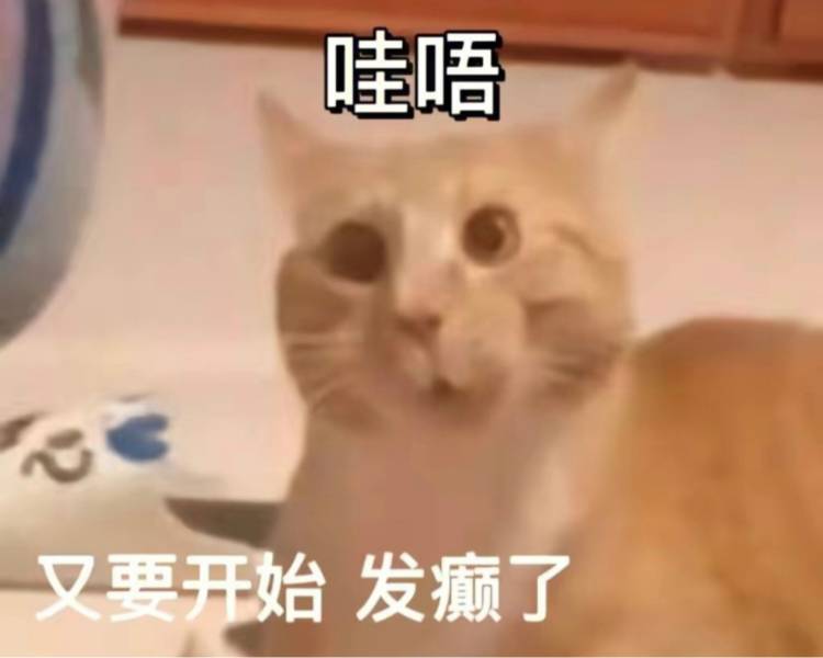 艺人背景图