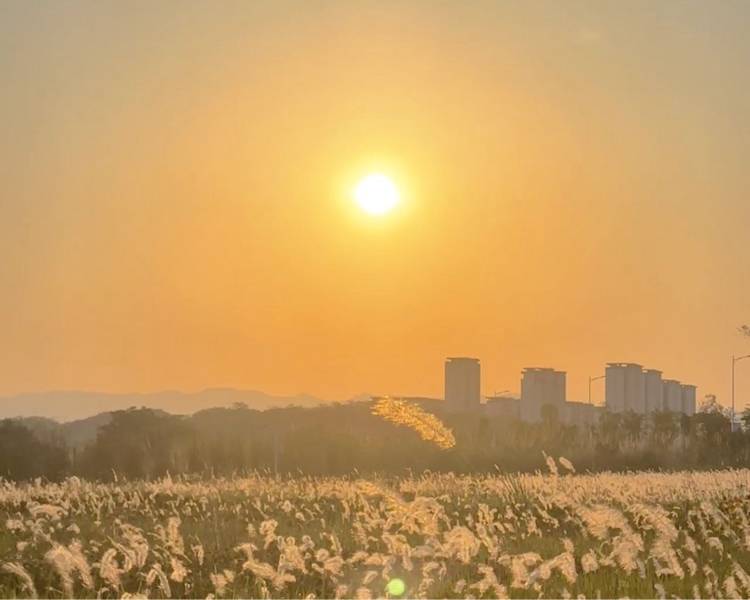 艺人背景图
