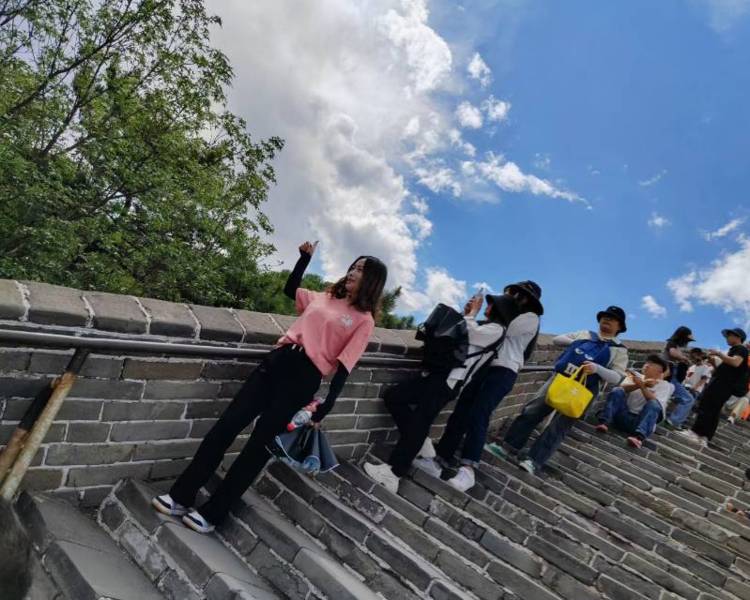 艺人背景图