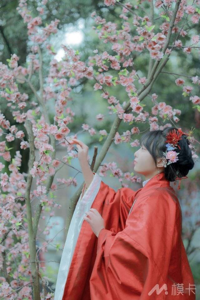 作品图片