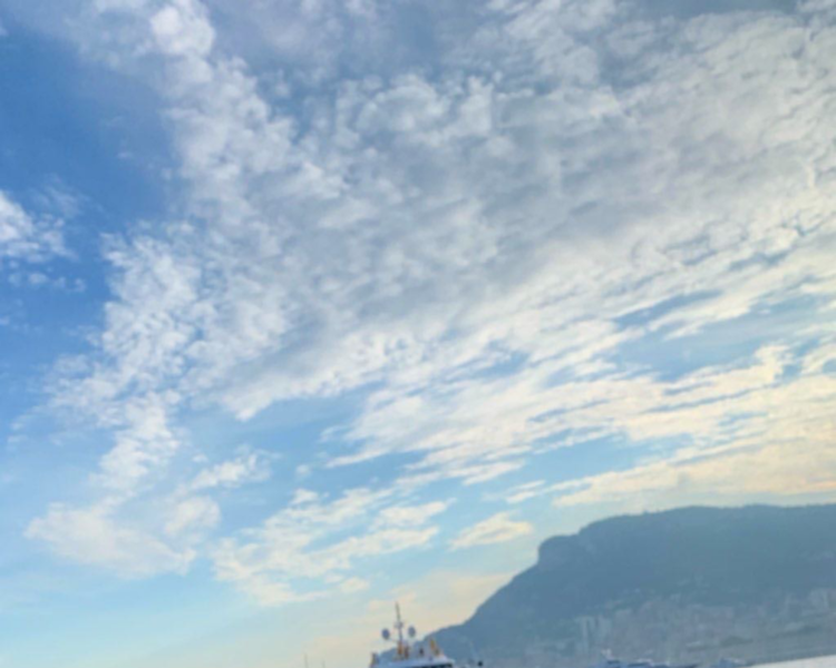 艺人背景图