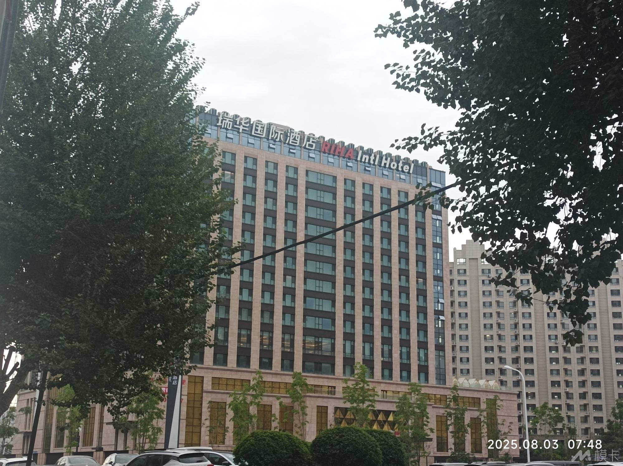 作品图片