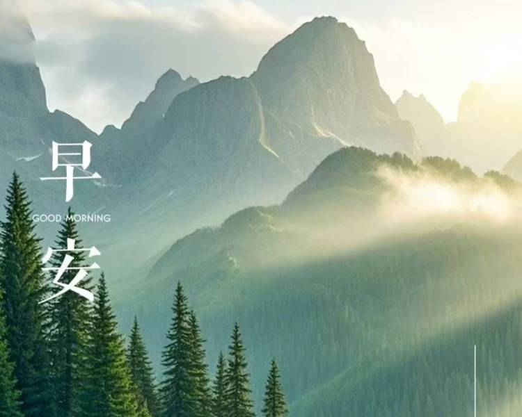 艺人背景图