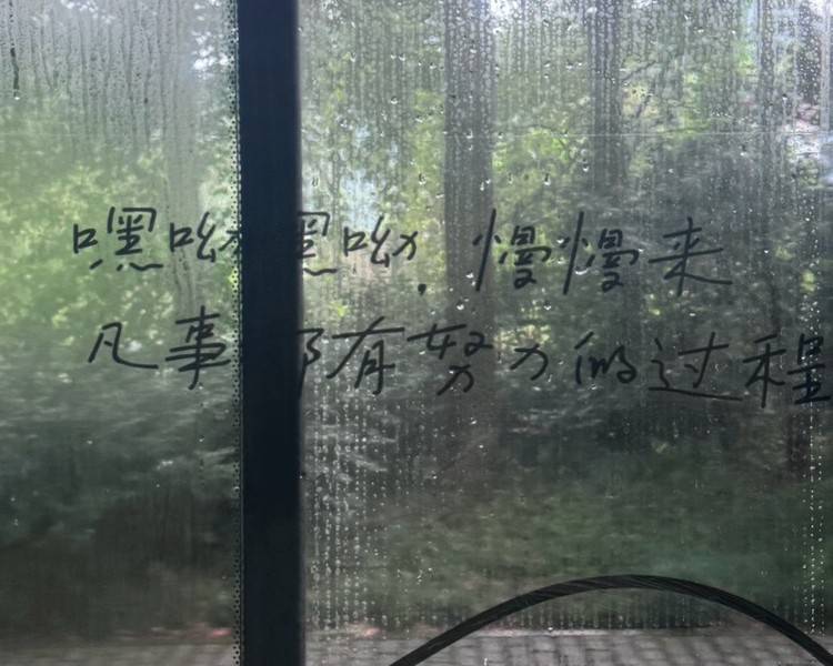 艺人背景图