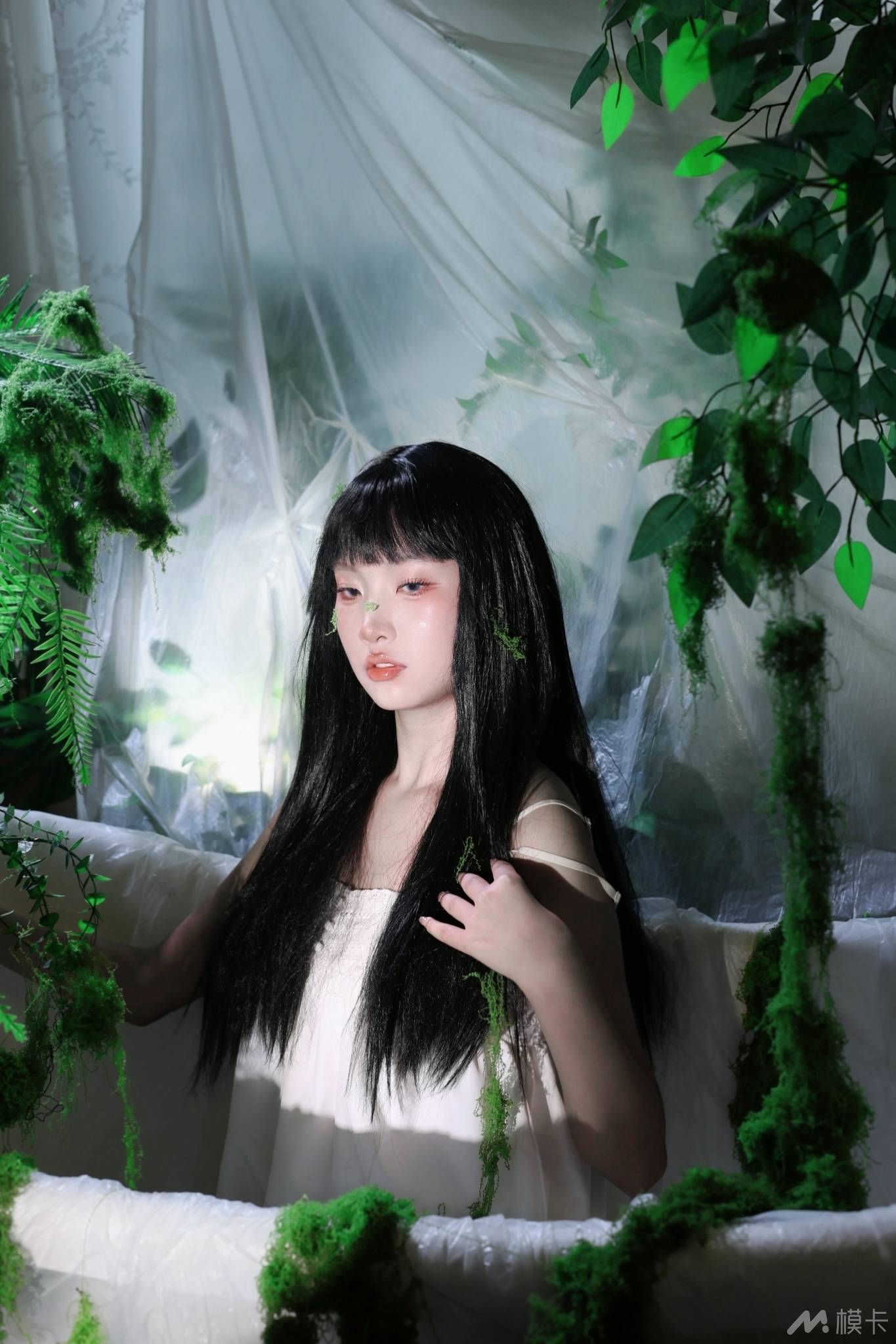 作品图片